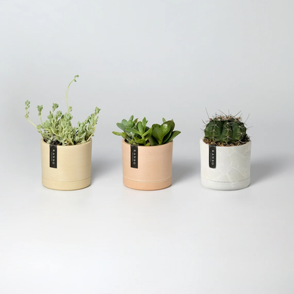 3.5" Mini Planter