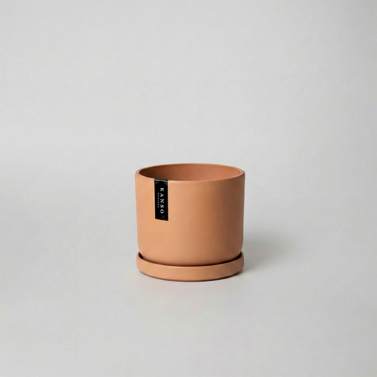 3.5" Mini Planter
