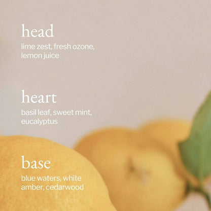 Liquid Dish Soap | Lemon, Sage & Rosemary