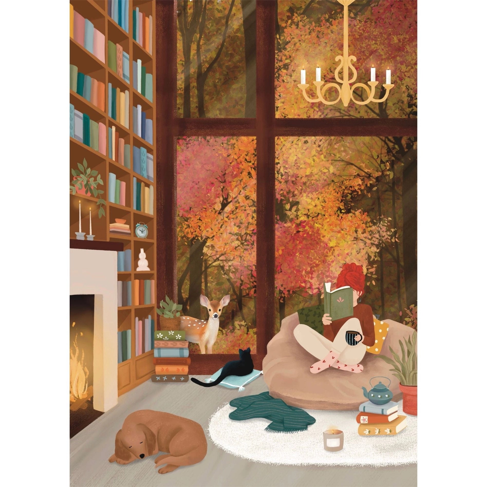 Dream Library Puzzle